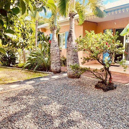 L'Oasis Saint Pierroise Et Son Jacuzzi Villa Екстериор снимка